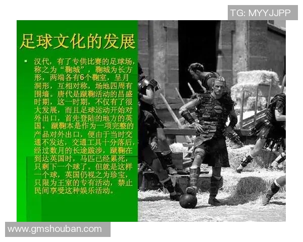 足球运动在全球文化中的影响与个人参与体验探讨